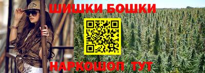гашик Ливны