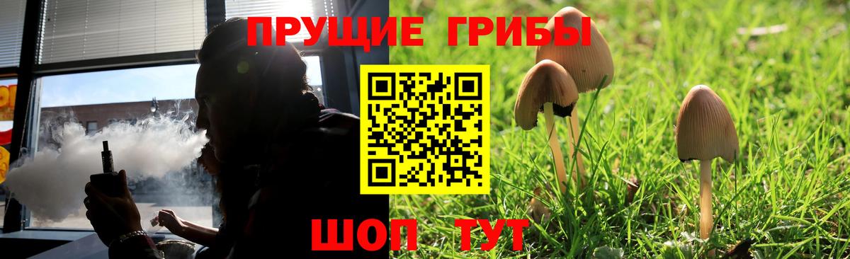 Галлюциногенные грибы Psilocybine cubensis Владивосток