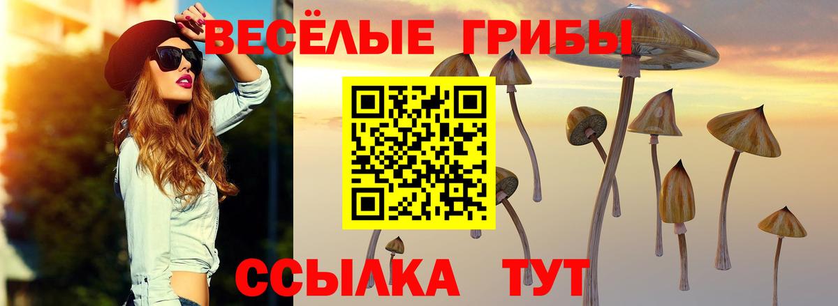 Владивосток  Галлюциногенные грибы Psilocybine cubensis  Вход с VPN 
